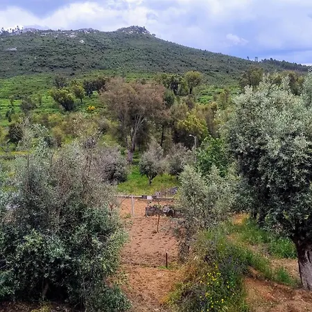 Couette-café Alegria Rustica 2 Rustic Happiness