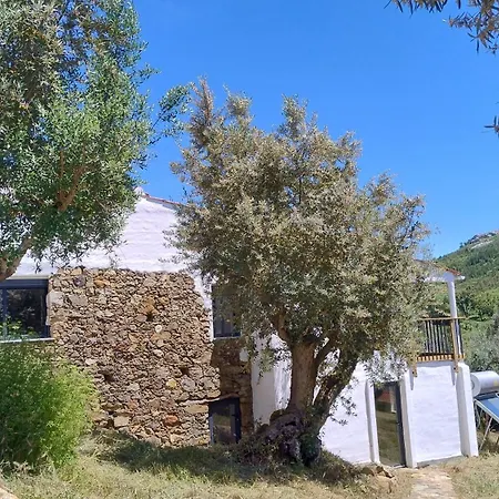 B&B Alegria Rustica 2 Rustic Happiness