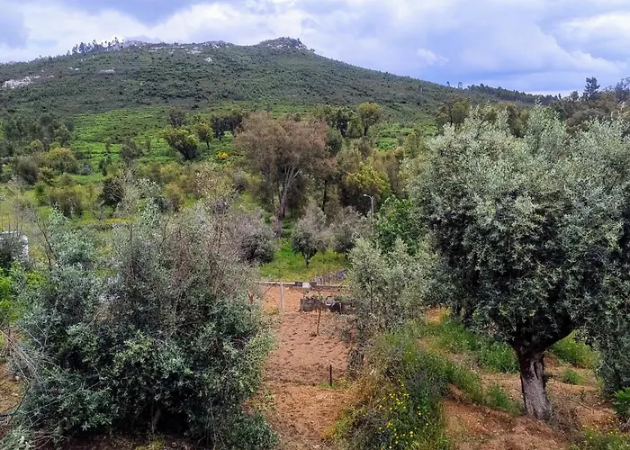 Panzió Alegria Rustica 2 Rustic Happiness